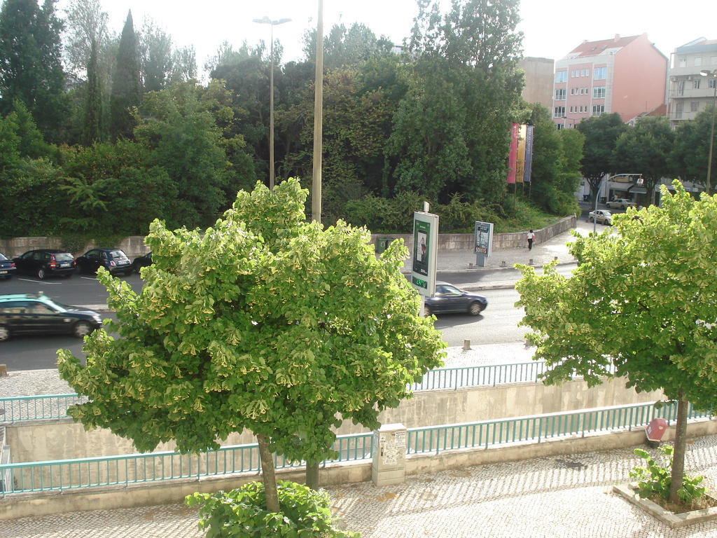 Center Garden Luxury Apartment Lisboa Quarto foto